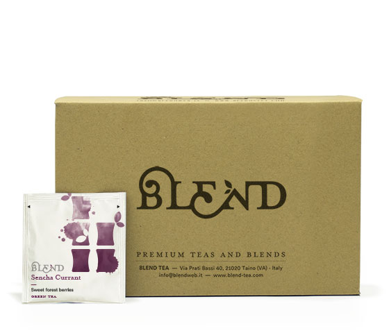 Sencha Currant Tea - 100ct Pyramid Infusers XL Box