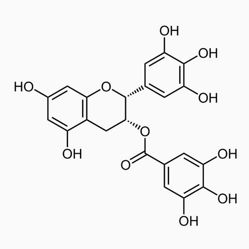 molecola di EGCG